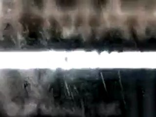 online reputation system