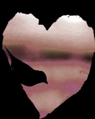 Sed - The Heart Dance