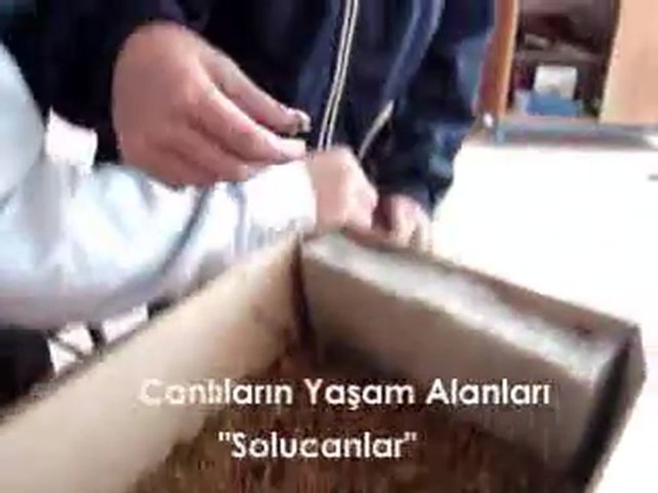 Nenehatun İ.Ö.O Canlıların Yaşam Alanları /solucan_2