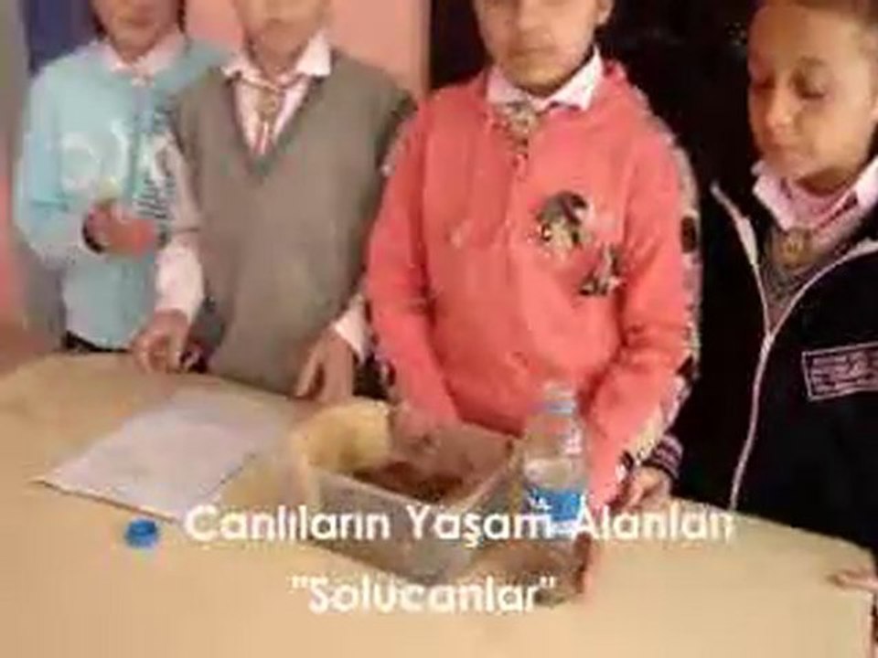 Nenehatun İ.Ö.O Canlıların Yaşam Alanları /solucan_3