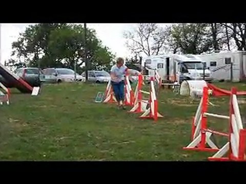 Concours agility tresses 10 avril 2011 Vicky du canis club pessacais illacais