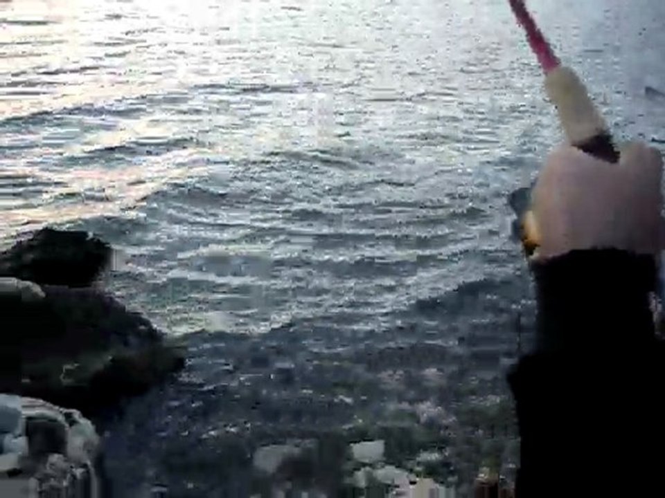 BEYMELEK AT-ÇEK LEVREK AVI