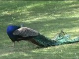 La Réserve Africaine de Sigean (Languedoc Roussillon)