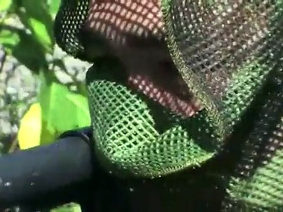 AIRSOFT. ASG WAR ON BANTAYAN ISLAND, BEACH LANDING, CEBU, PHILIPPINES