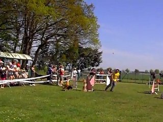 jumping + hanches 10/04/2011