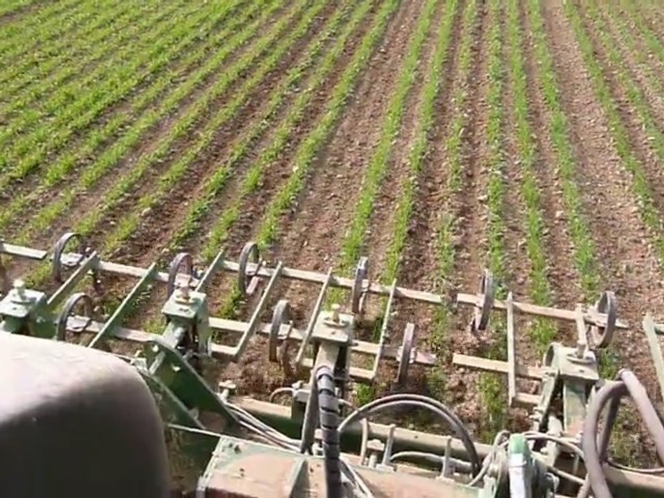 garford binage orge de printemps Bio