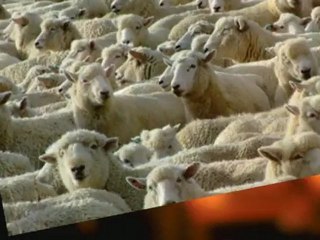 Is Your Graphic Designer and Website Designer The One Skill?