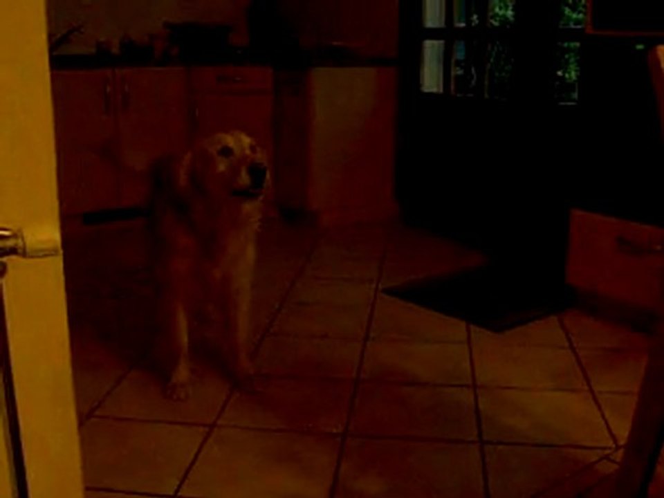 Mon Chien chante "Joyeux Anniversaire"...