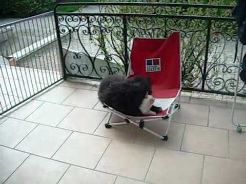 13 avril 2011 : Furia 3 mois et Farine 6 mois