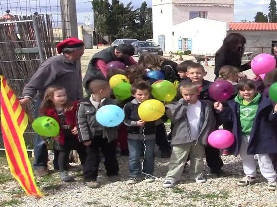 Lâcher de ballon - Baratina Géante Perpignan