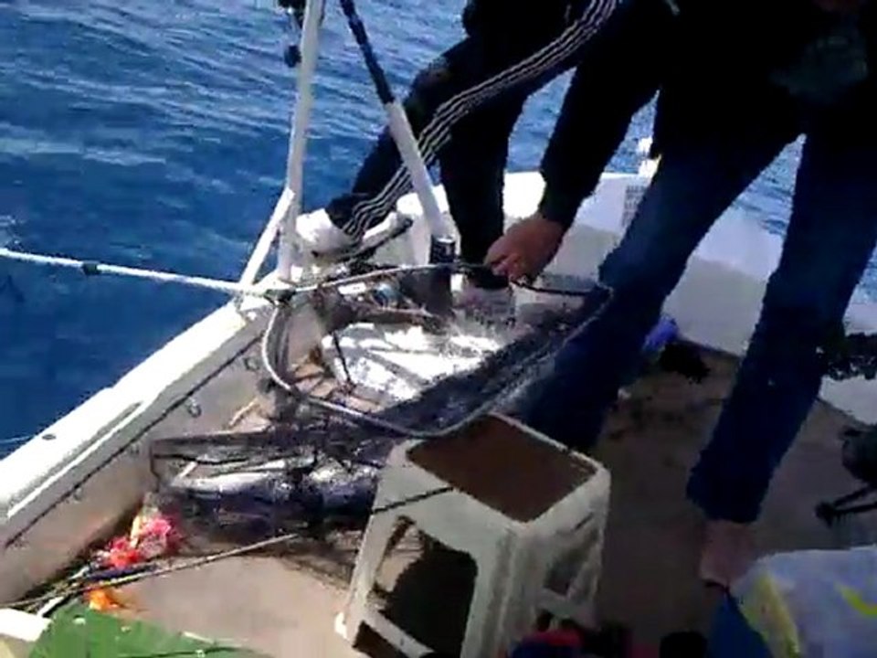 Jigging 13.04.2011