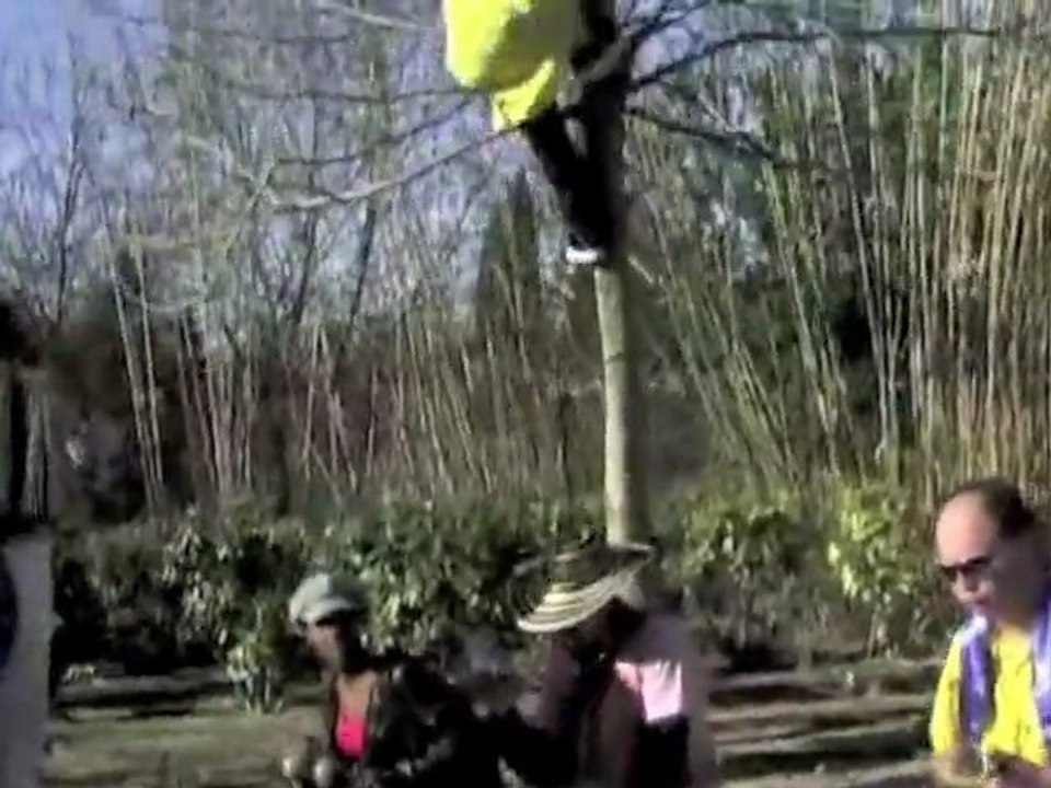 La BaNdAsTre _.° C'esT ManiLLe