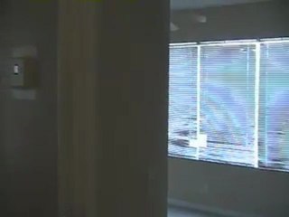 Video Walk Through of 216 Foxtail Dr -H, Greenacres FL ...