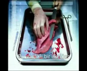 sigaranın zararlarını görmek