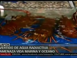 Japón: Peligran vida marina y alimentos tras fugas nucleare