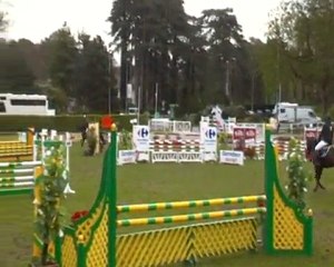 shétaan d'edmond (Luccianno X totoche du banney) 5 ans B hardelot 2ème jour