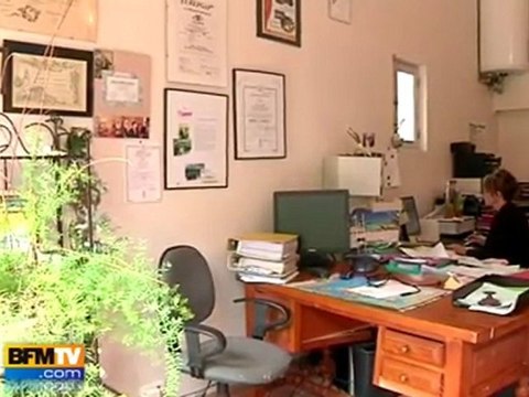 Des productions de salades détruites