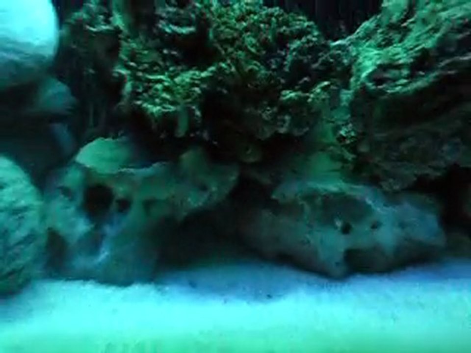 SAM_2228