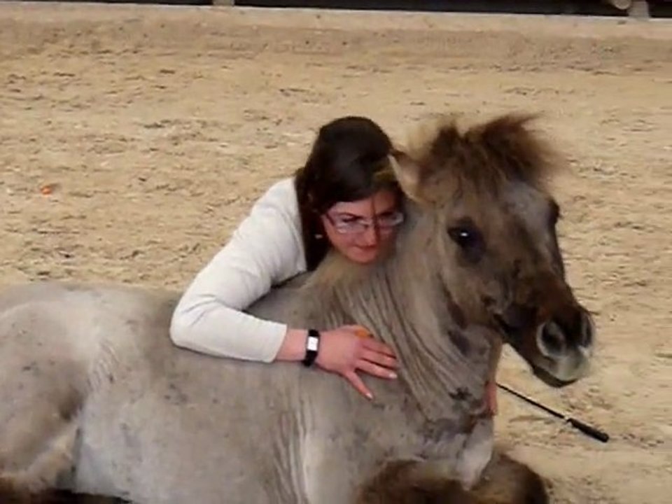 Démonstration aux portes ouvertes de la MFR de Fonteveille