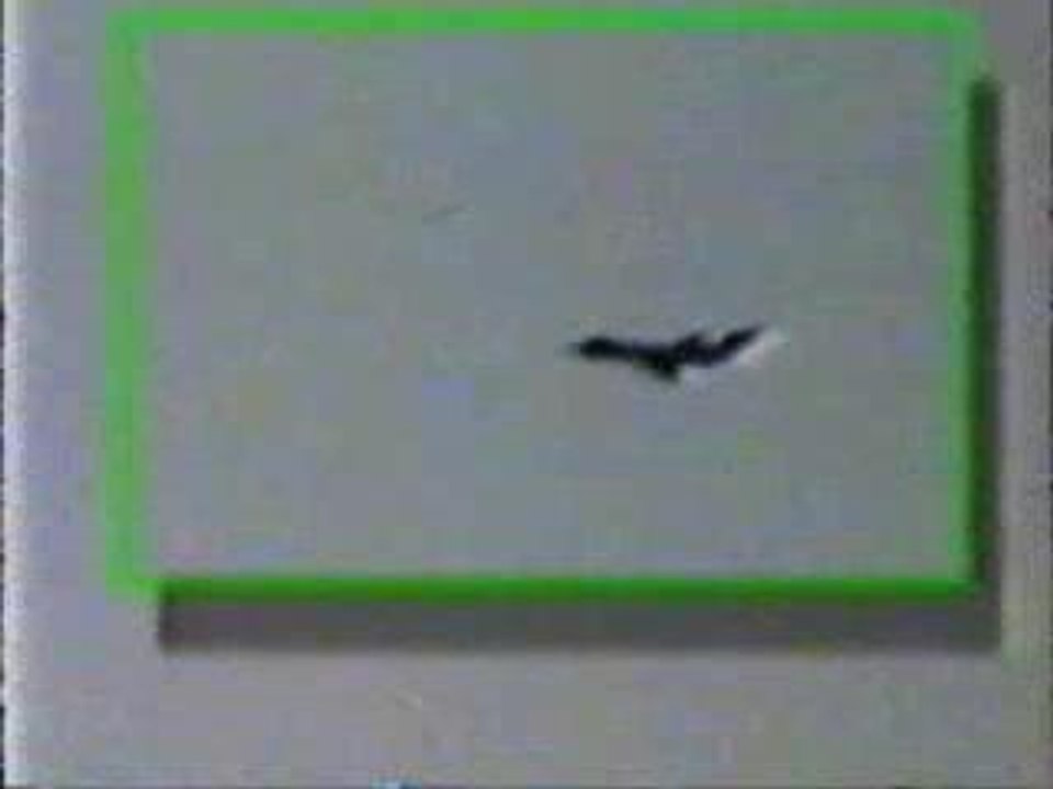 ovni et avion