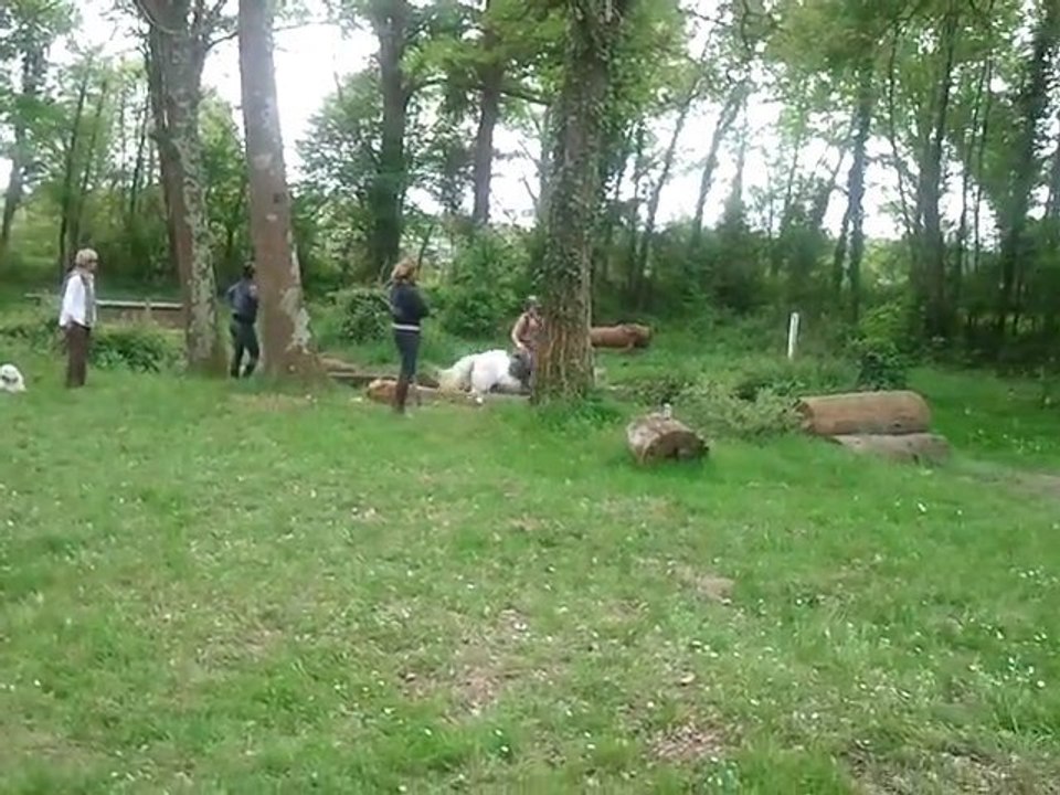 Paladin des Graves - CROSS 7