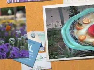 A Visit to the Desert Botanical Garden in Phoenix