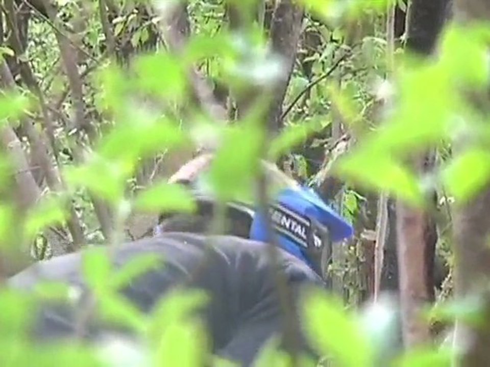 Du Paintball au Pavillon-Sainte-Julie