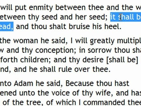 PT4 DOES THE BIBLE CALL THE SO-CALLED WHITE MAN IS THE DEVIL?