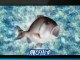 Reel Fishing 3D - Reel Fishing 3D - Japanese Debut ...