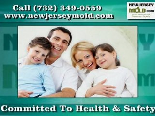 Mold Treatment in Toms River NJ - NewJerseyMold.com