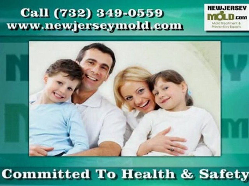 Mold Treatment in Toms River NJ - NewJerseyMold.com
