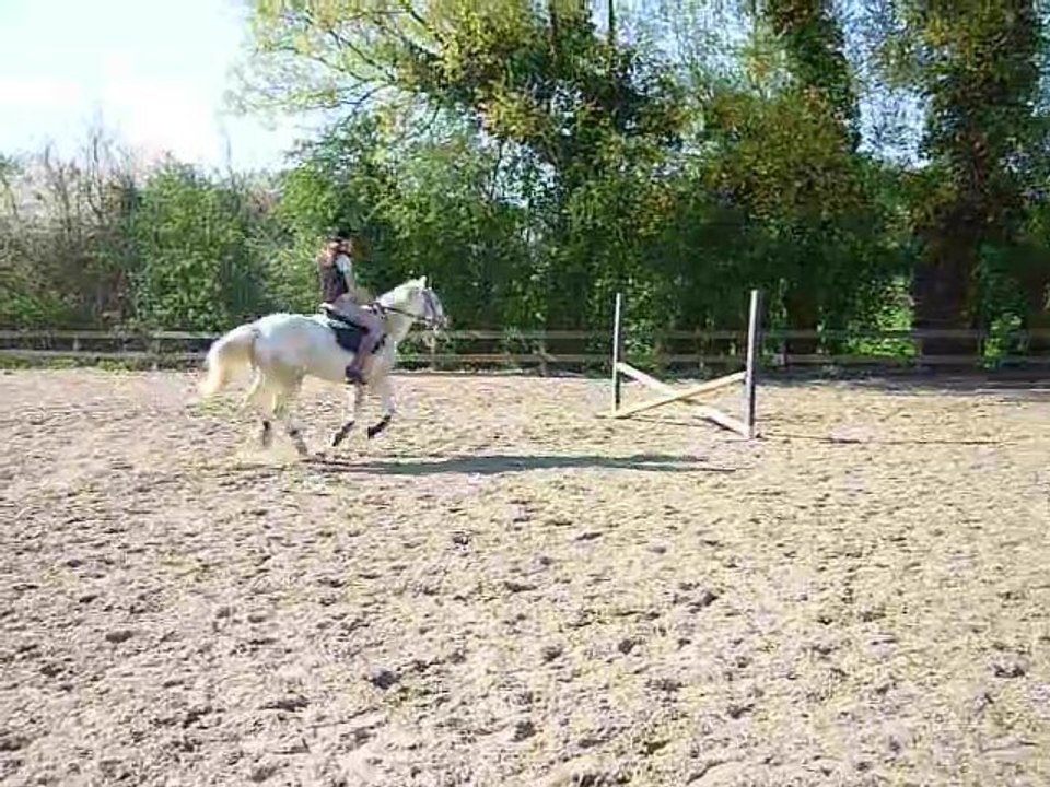 Parcours d'obstacle: Lau' sur Aramis (09/04/2011)