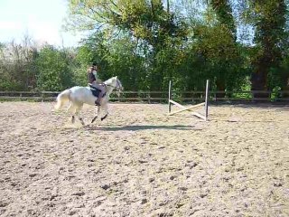 Parcours d'obstacle: Lau' sur Aramis (09/04/2011)