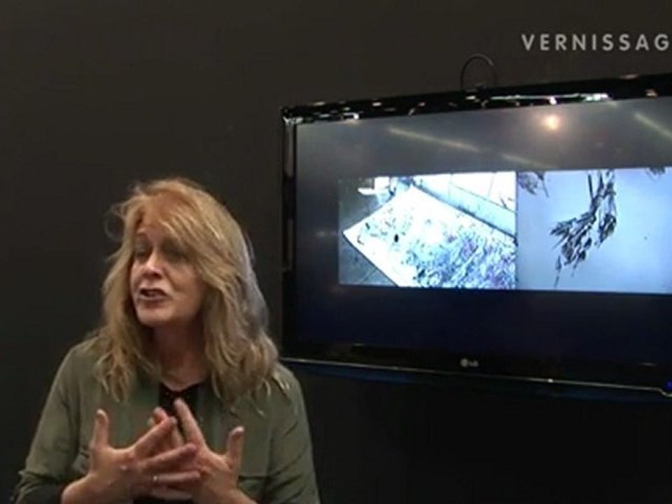 Christina McPhee: Shed / VernissageTV Video Art Program at Open Space, Art Cologne 2011 / Interview