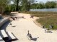 Extrait du nouveau spectacle "Vol d'oiseaux" au parc de Villars- les- Dombes