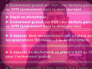 Les Jeunes Ecolos du 156