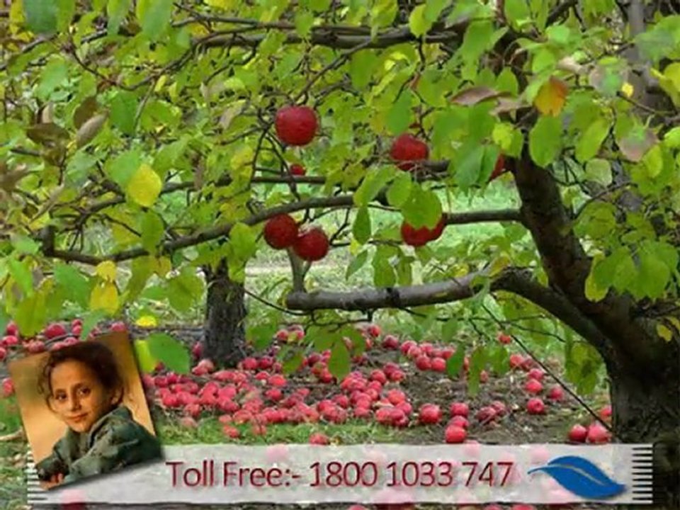 Kashmir , Best Holiday Destination In India