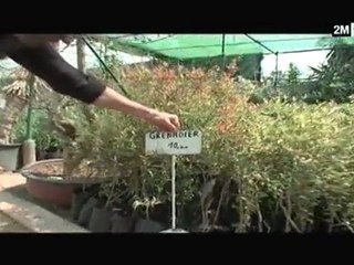 دار وديكور : الأحد 17 أبريل