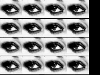 Tabú femenino y cucarachas