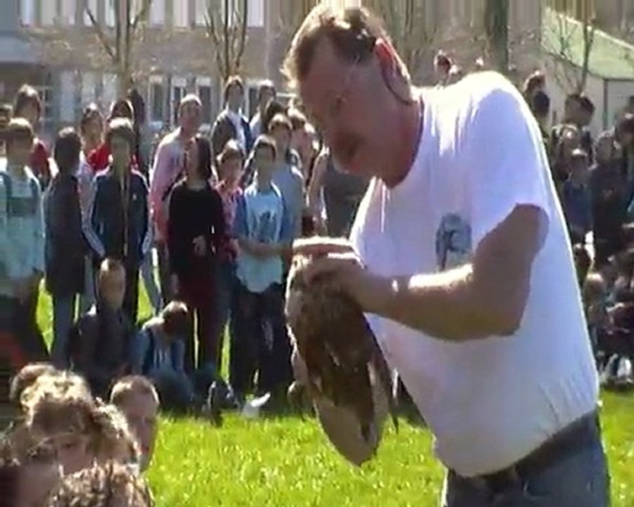 Beauvais : lâcher d'un rapace au collège George Sand