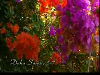 Kuran Meali Duha Suresi 1-9