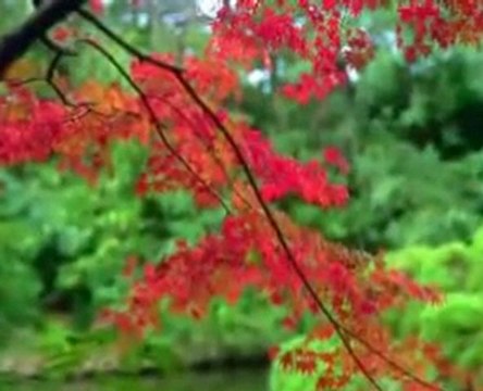 Can yücel - seninle olmanın en güzel yanı