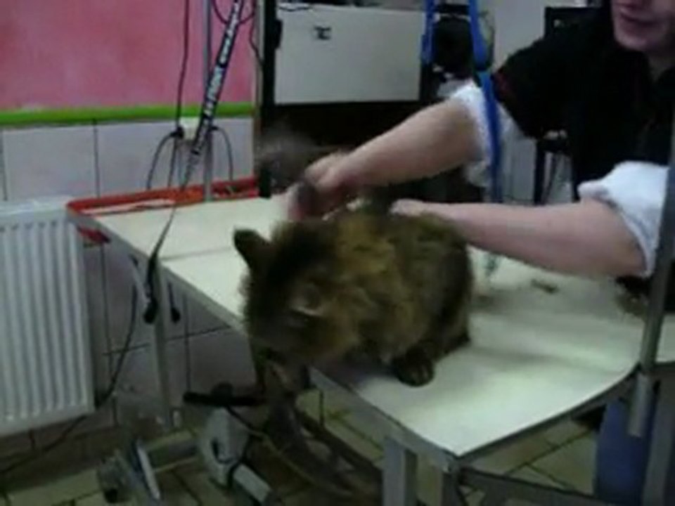 PamPam chez la coiffeuse