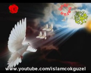 Naat - Gel Küllenen Gönlüme Bir Gül Ya RasulAllah (SAV)