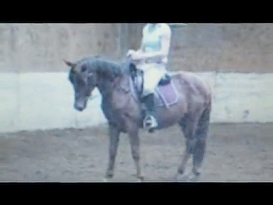 spencer 3
