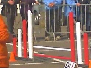 Laurence Crunch Concours Quimper 2011