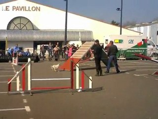 Morgane Easydo coucours quimper 2011