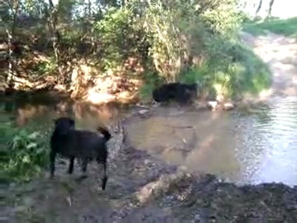 Ballade Tara&Kenzo&Faust