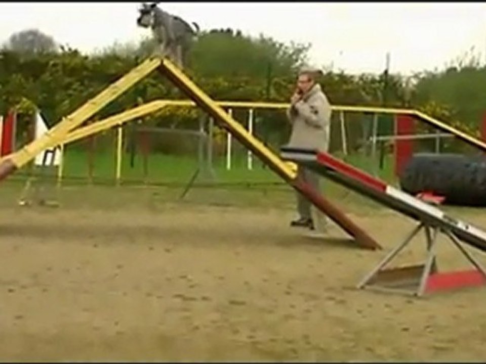 Sylvie Arwen Concours Brest 2011