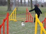 entrainement agility 06.03.2011